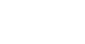 logo light